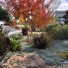 355 August Landscape Ideas