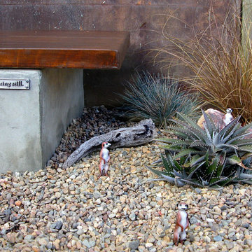 Garden for Reflection and Awareness