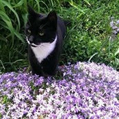 Betsy Meyer-Donadio's photo
