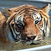 Joan Rohrer's photo