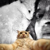 Catherine Sarazin Rocher's photo
