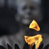 Sean Campbell's photo