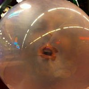 Brian Rosenworcel's photo