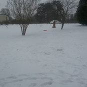 Darlene Houck's photo