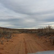 Karolyn Leith's photo