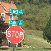 Donna Schaefer Dibert's photo