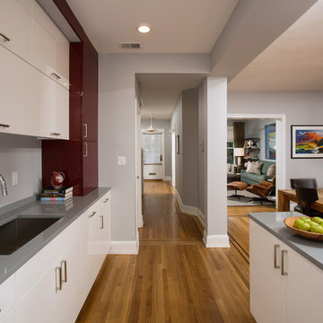 Washington DC Row-House Renovation