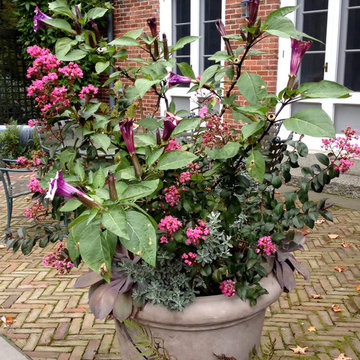 Container Planting Designs