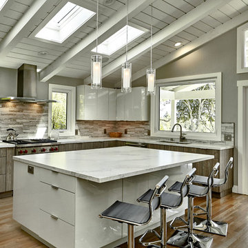 Los Altos Contemporary