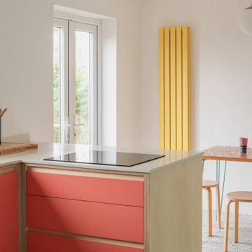 Bright Plywood Kitchen