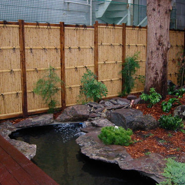"Secret" Water Garden In The City