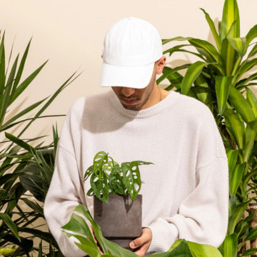 Why Healthy Plants Sometimes Struggle Despite Proper Care
