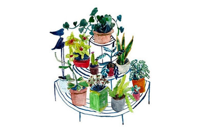 Circular Plant Stand - Elizabeth Barnett