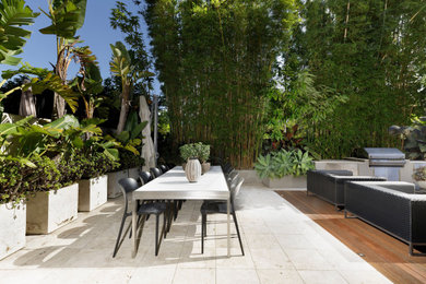 Inspiration for a mid-sized contemporary courtyard partial sun garden in Sydney with decking.