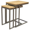 Simplicity Teak and Iron Nesting C-Tables, 2-Piece Set
