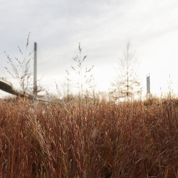 Bring Nature Near: National Park Service