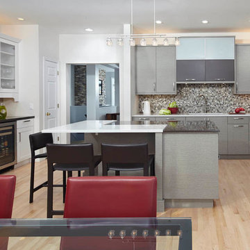 Minneapolis Town Home Project - Wet Bar