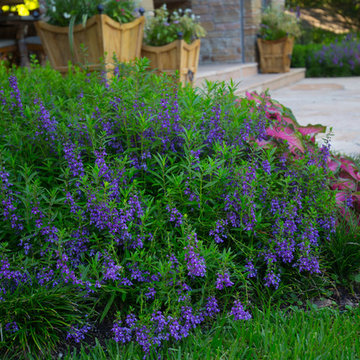 Landscape Irrigation & Drainage Plus Paving & Stonework
