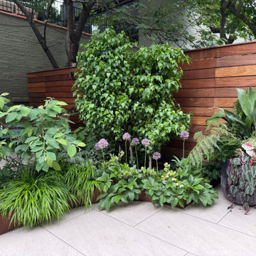 Brooklyn Heights Shady Garden