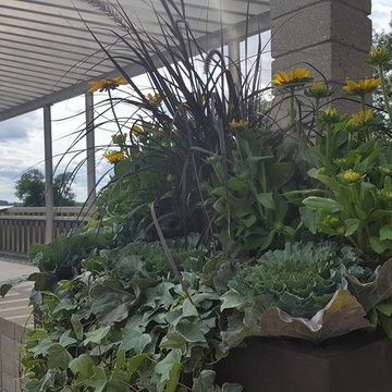 Container Garden