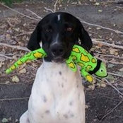 Roberta Bales's photo