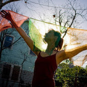 Tracy Firsching's photo