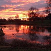 Marty Tanner's photo