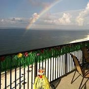 Connie Saucer Reeves's photo