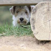 Birgit Bernhard's photo