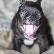Nick Hovsepian's photo