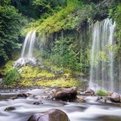 Jean Nelson's photo