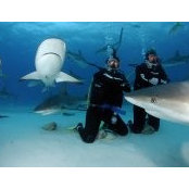 Regina Olekson's photo