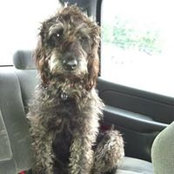 Jennifer Irwin's photo