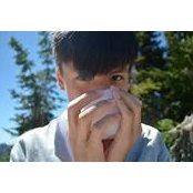 陳庚璟's photo