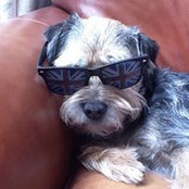 Sue Bowden's photo