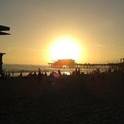 Robert Mcallister's photo