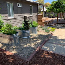 Edible Landscaping