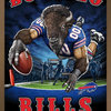 NFL Buffalo Bills - End Zone 17