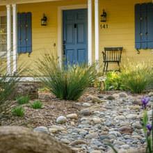 Sidewalk Garden