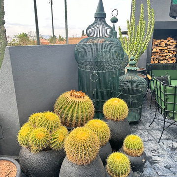 Moroccan Shopping Excursions