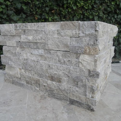 Silver Travertine Panel - Products