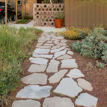 Landscape Ideas