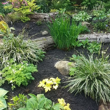 Shade Gardens
