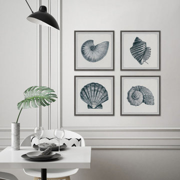 Gray Sea Shells Quadriptych
