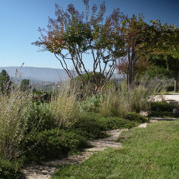 Coteau à Goult
