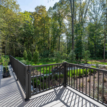 Forest Edge Escape