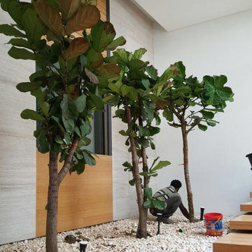 Shamiya Courtyard and indoor