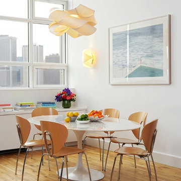 LZF - Link and Orbit Lamps Make Choice Features In A Brooklyn Loft - USA