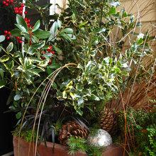 Christmas Patio