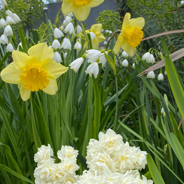 La vigie du Sacré-Coeur